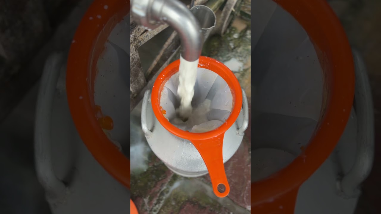 Best Passive Income Ideas for Beginners (2025)”